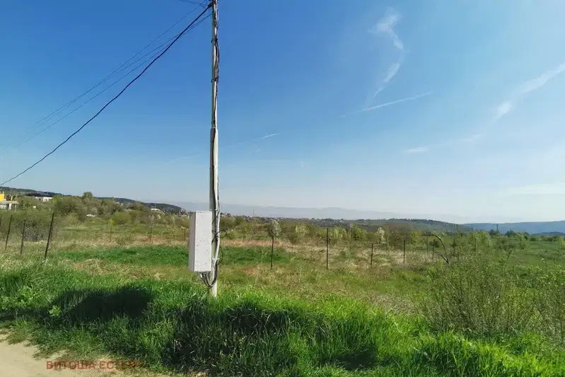 Plot in Bistrica