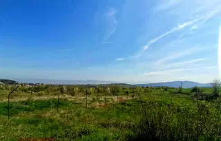 Парцел в с. Бистрица