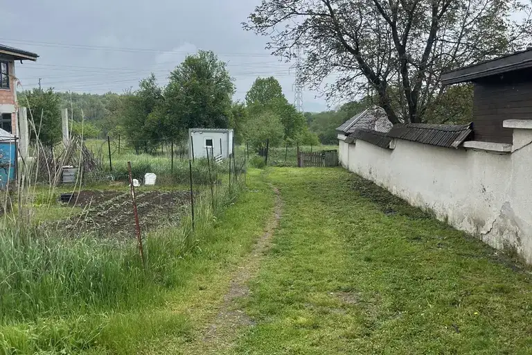Plot in Bistrica