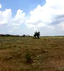 Парцел в Добрич, с. Божурец