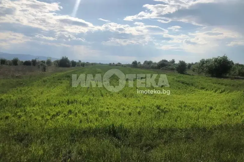 Plot in Oblast Plovdiv, Branipole