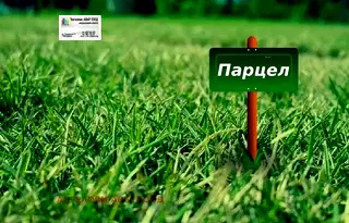 Парцел в Добрич, с. Бранище