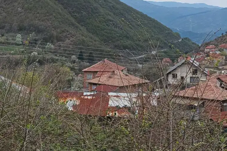 Plot in Oblast Blagoevgrad, с. Брежани