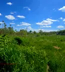 Парцел в Пловдив, с. Брестник