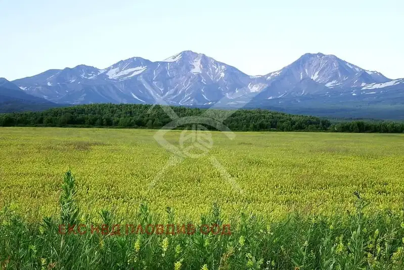 Парцел в Пловдив, с. Брестовица