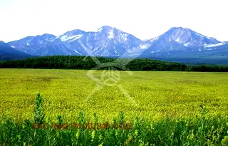 Парцел в Пловдив, с. Брестовица