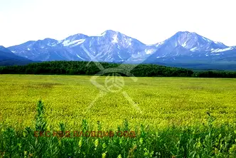 Парцел в Пловдив, с. Брестовица