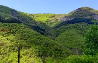 Парцел в София, с. Брезе