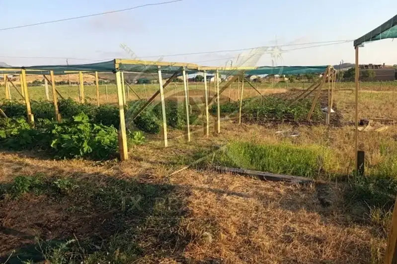 Plot in Bryastovec
