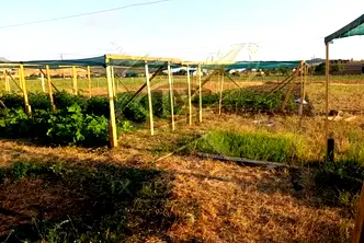 Парцел в с. Брястовец