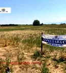 Парцел в Пловдив, с. Царацово