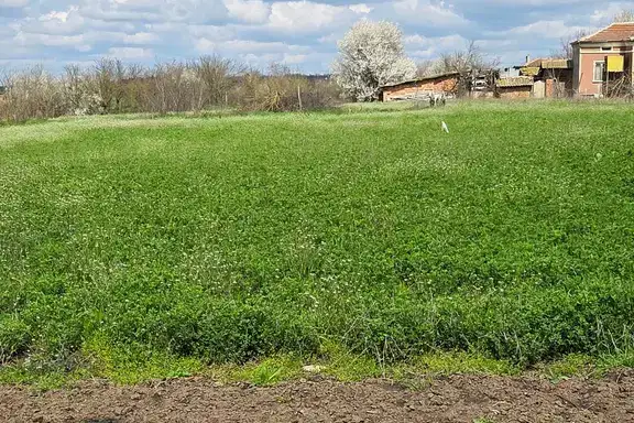 Plot in Oblast Dobrich, Carevec