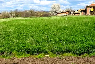 Парцел в Добрич, с. Царевец