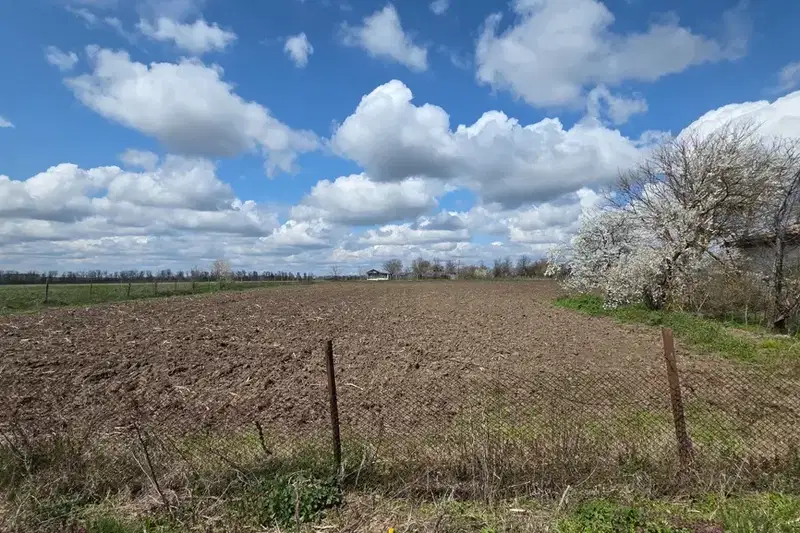 Plot in Oblast Dobrich, Carevec
