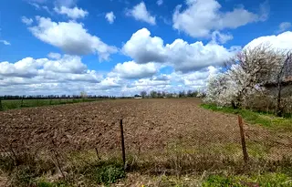Парцел в Добрич, с. Царевец