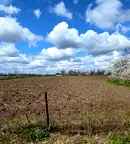 Парцел в Добрич, с. Царевец