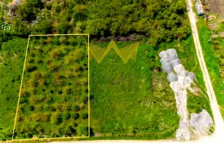 Парцел в Добрич, с. Царичино