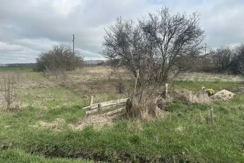 Plot in Oblast Dobrich, Carichino