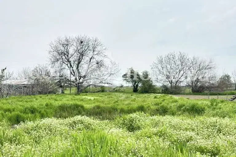 Парцел в Пловдив, с. Царимир