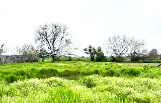 Парцел в Пловдив, с. Царимир