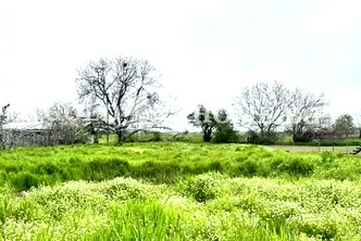Парцел в Пловдив, с. Царимир