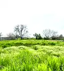 Парцел в Пловдив, с. Царимир