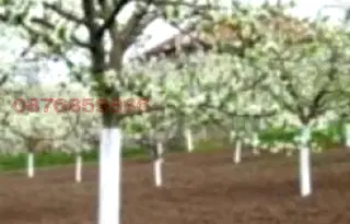 Парцел в Пловдив, с. Церетелево