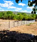 Парцел във Велико Търново, с. Церова кория