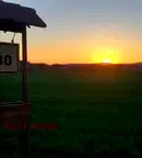 Парцел в София, с. Чеканчево