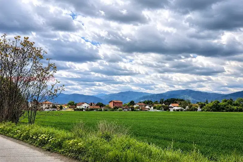 Plot in Chepinci