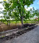 Парцел в Пазарджик, с. Черногорово