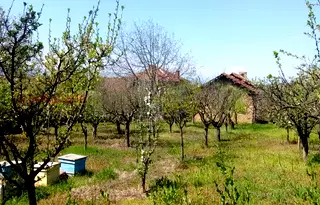 Парцел във Враца, с. Чирен