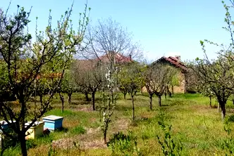 Парцел във Враца, с. Чирен