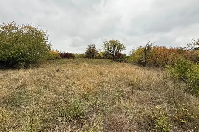 Plot in Oblast Pernik, Divotino