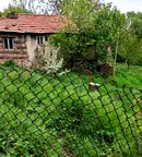 Парцел в Перник, с. Дивотино