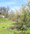 Парцел във Варна, с. Доброглед