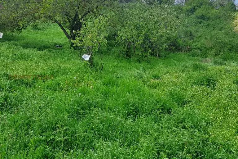 Парцел в Силистра, с. Добруджанка