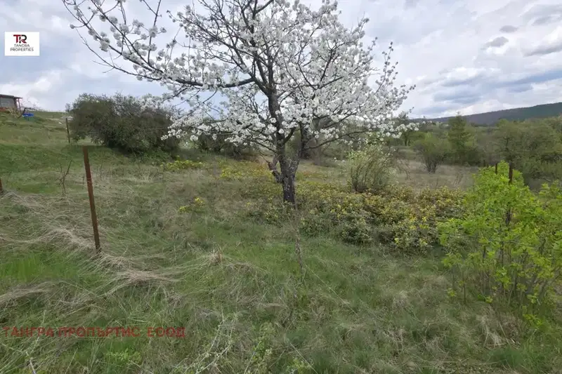 Plot in Oblast Pernik, Dolna Dikanya