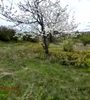 Парцел в Перник, с. Долна Диканя