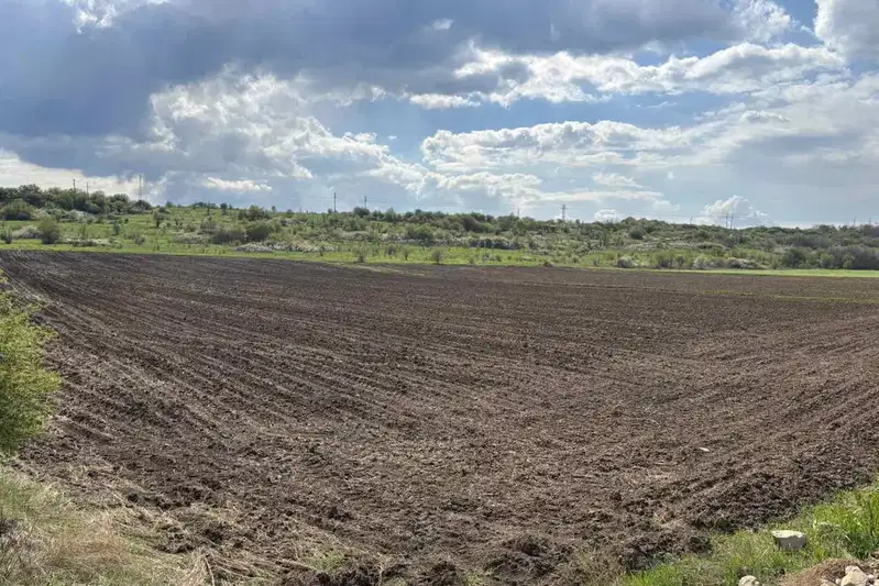 Plot in област София, Dragovishtica