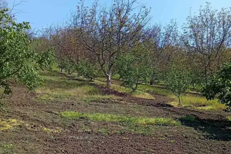 Парцел в Силистра, с. Дунавец