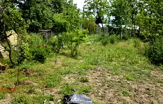 Парцел в Стара Загора, с. Дълбоки