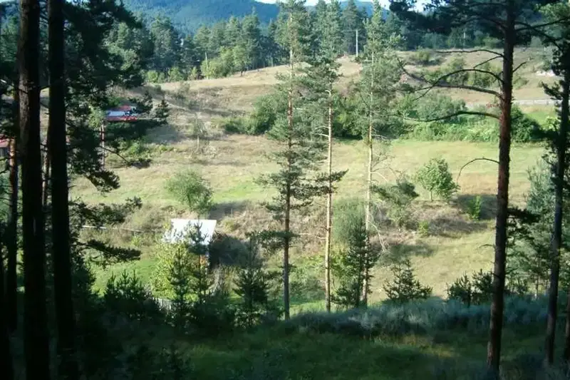 Plot in Oblast Blagoevgrad, Eleshnica