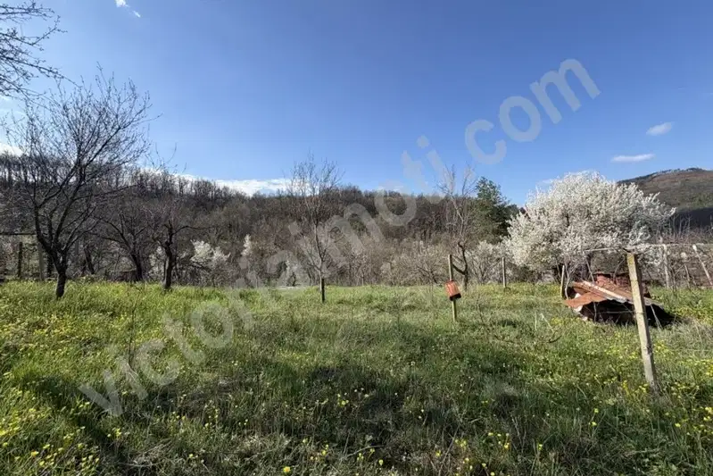 Plot in Oblast Veliko Tyrnovo, Gabrovci