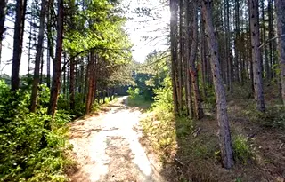 Парцел в с. Герман