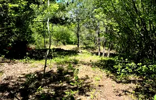 Парцел в с. Герман