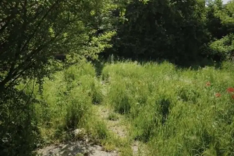 Plot in Oblast Pazardjik, Glavinica
