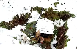 Парцел в Пловдив, с. Голям чардак