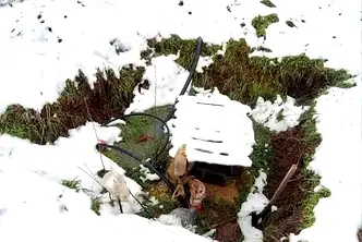 Парцел в Пловдив, с. Голям чардак