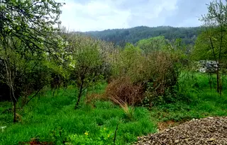 Парцел в Перник, с. Горна Диканя